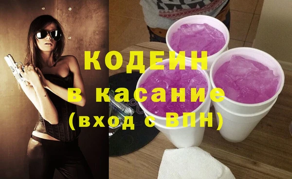 гашик Алексеевка