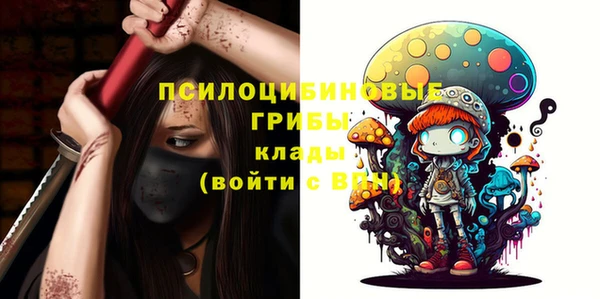 мдпв Алзамай